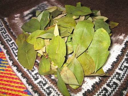 Where to buy coca leaves in Peru | Coca leaves for sale online